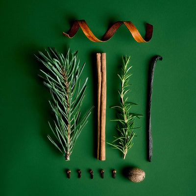 Flat lay of rosemary sprigs, cinnamon stick, vanilla pod, clove buds, nutmeg and orange peel on a green background — ingredients evoking the festive fragrance notes of AUGUST&PIERS Claus candle.
