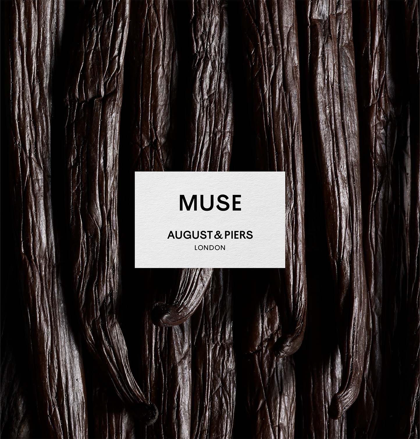 Muse Refill