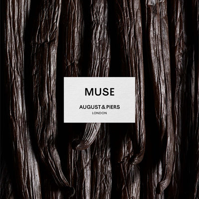Muse Refill
